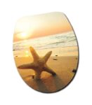 IMPORTT-ΚΑΠΑΚΙ ΛΕΚΑΝΗΣ 117 ASTERIAS MPEZ